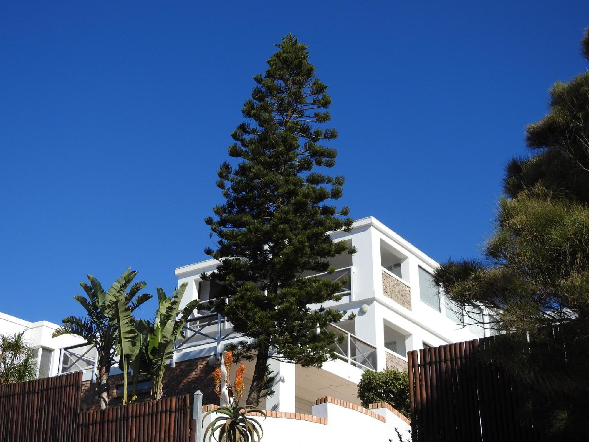 Surfstar At Mimosa Jeffreys Bay Apartamento Exterior foto